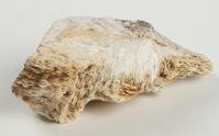 M 00968
<br/>
<br/>
<em></em>
